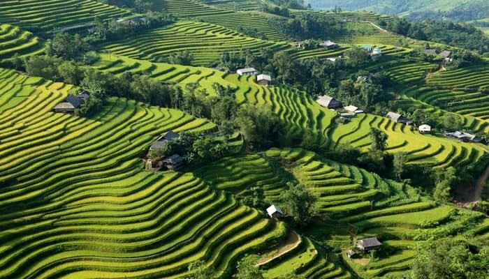 Hoang-su-phi